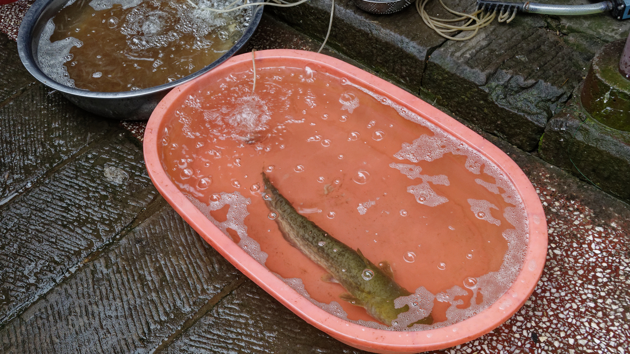 20161107 140123•Sacred Temple•Shibao•Chongqing•China